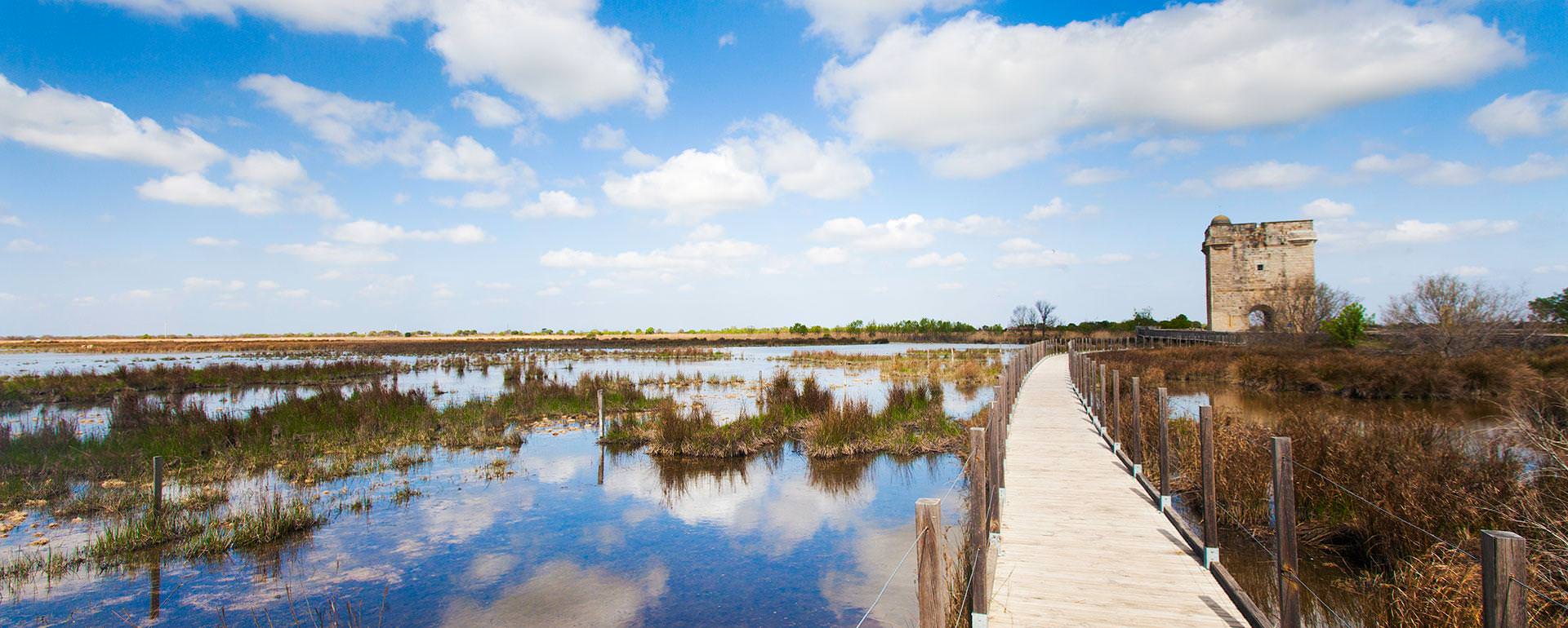 La tour Carbonnière