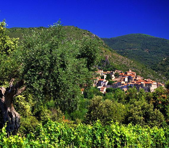 Le vignoble biterrois © G.Deschamps