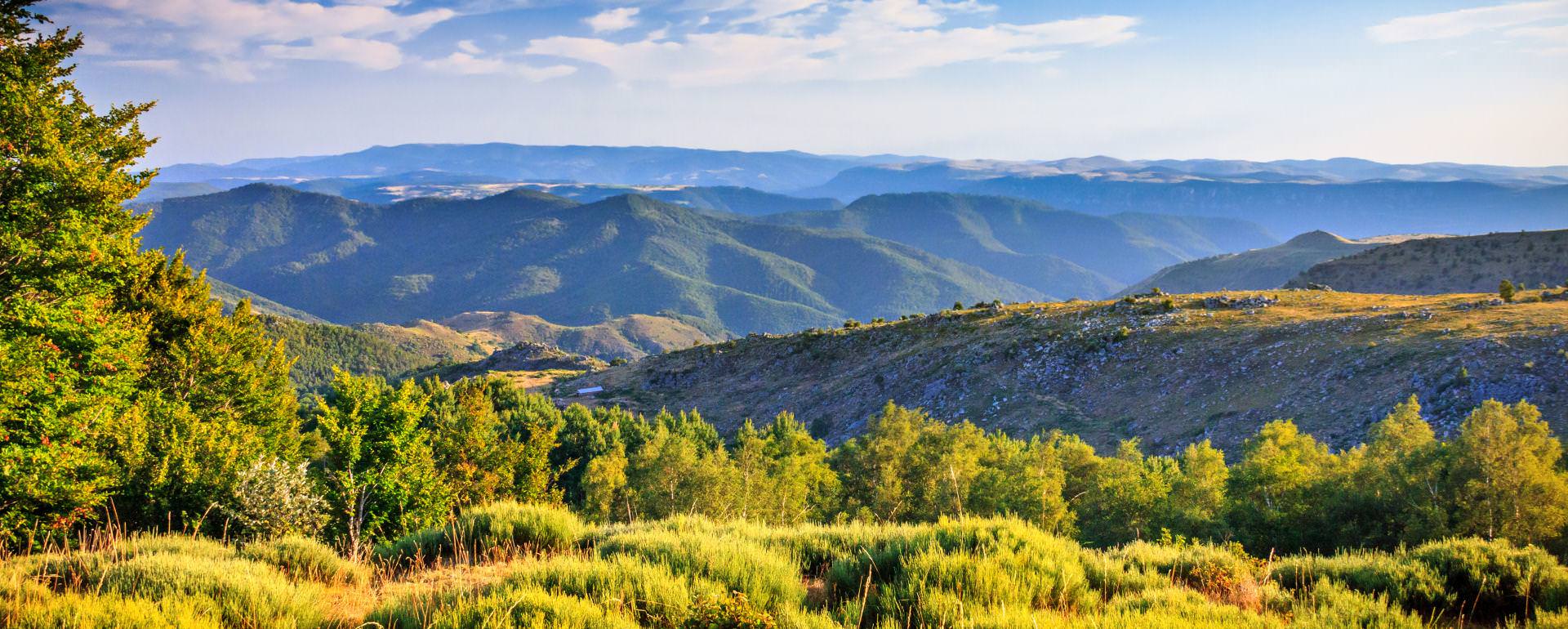 Paysage de Lozère (Parc national des Cévennes)