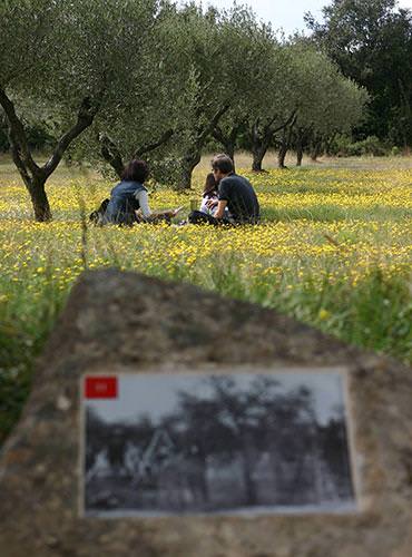 Une expo à ciel ouvert, © Pont du Gard Une expo à ciel ouvert