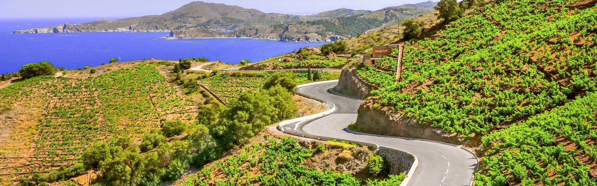 Route de la Côte Vermeille © G.Deschamps / CRTL Occitanie