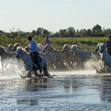 Languedoc-Camargue