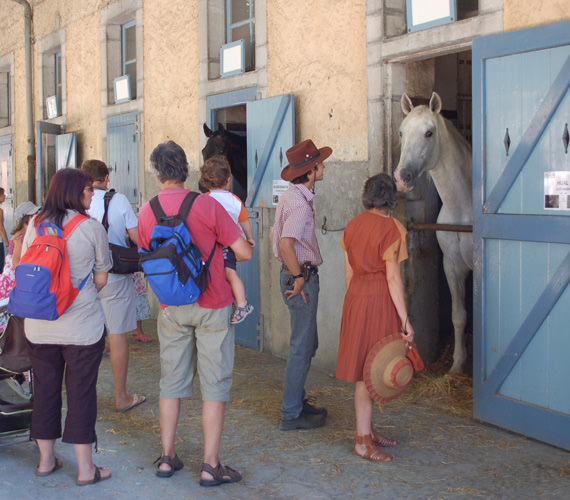 Haras de Tarbes - Hautes-Pyrénées