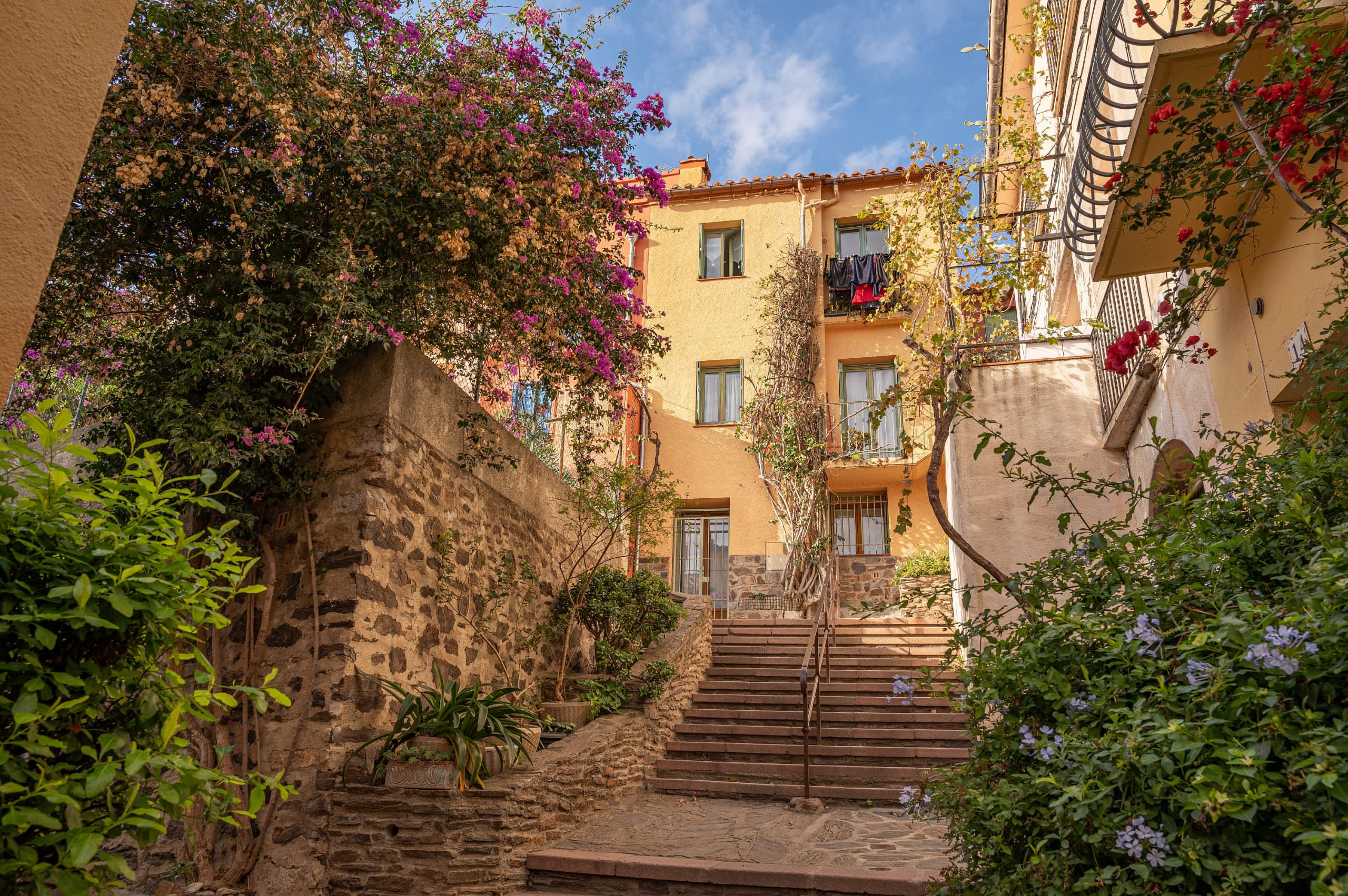 Collioure © CRTL Occitanie / G.Payen