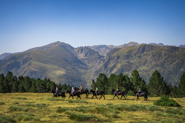 Les Pyrénées © Ariège Pyrénées Tourisme /C.Ripon