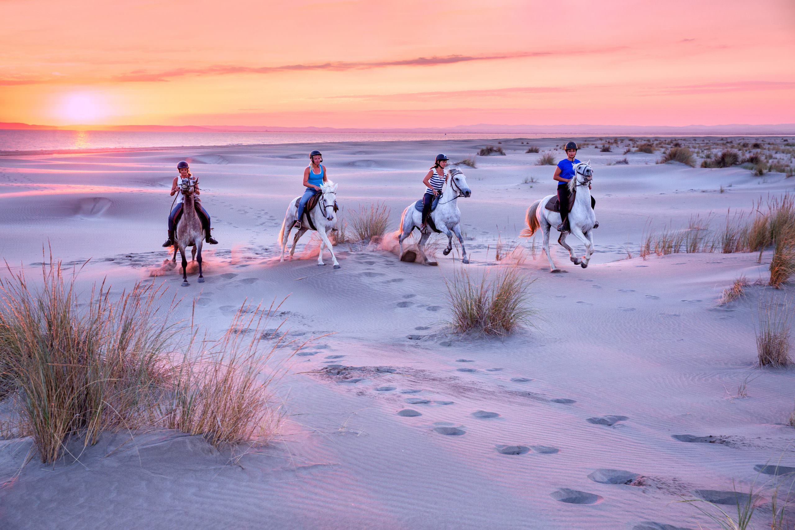 Plage de Camargue © Ouvert au public / R.Sprang