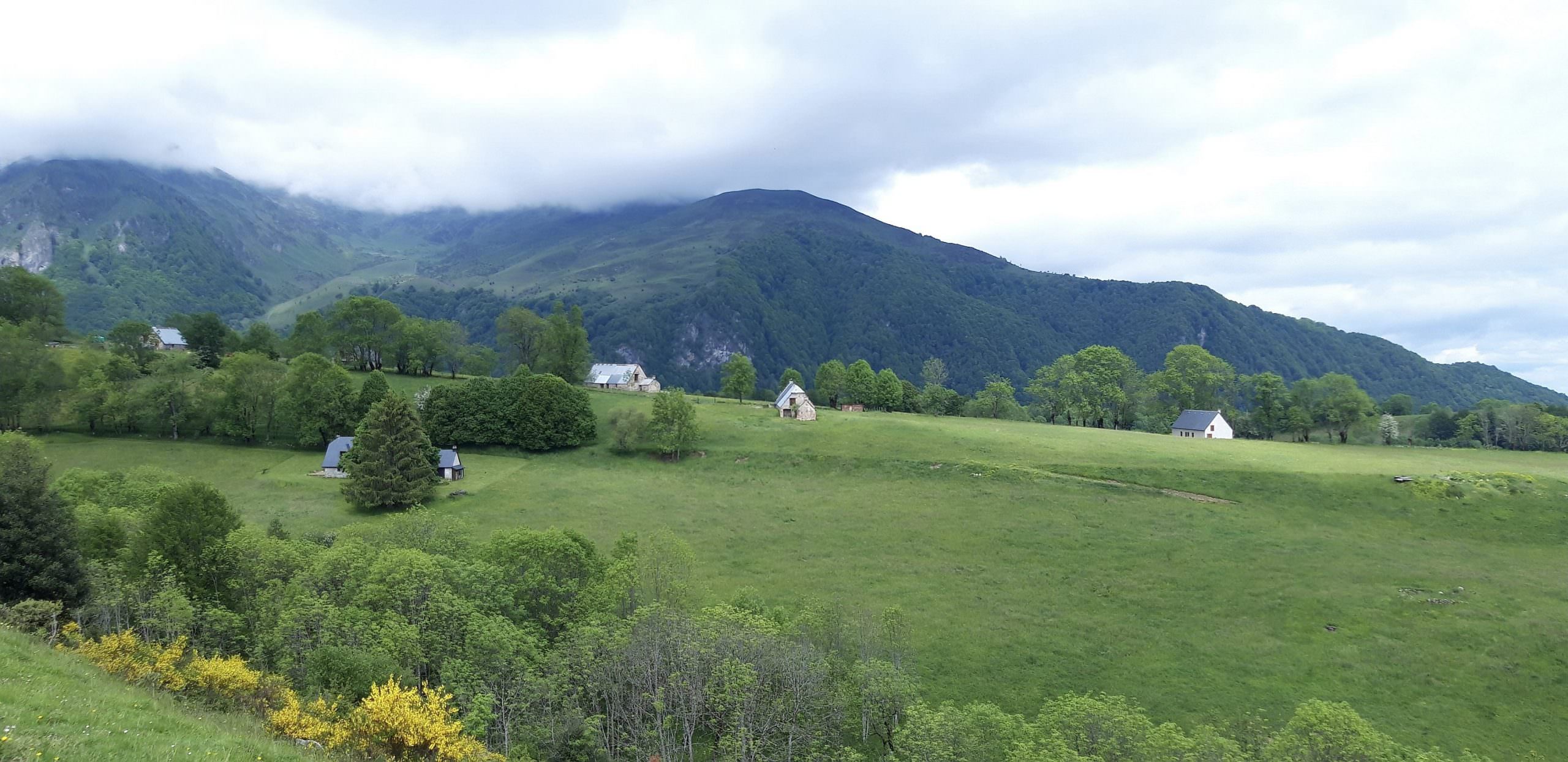 Vallée de Campan © CRTL Occitanie / C.Chabanette