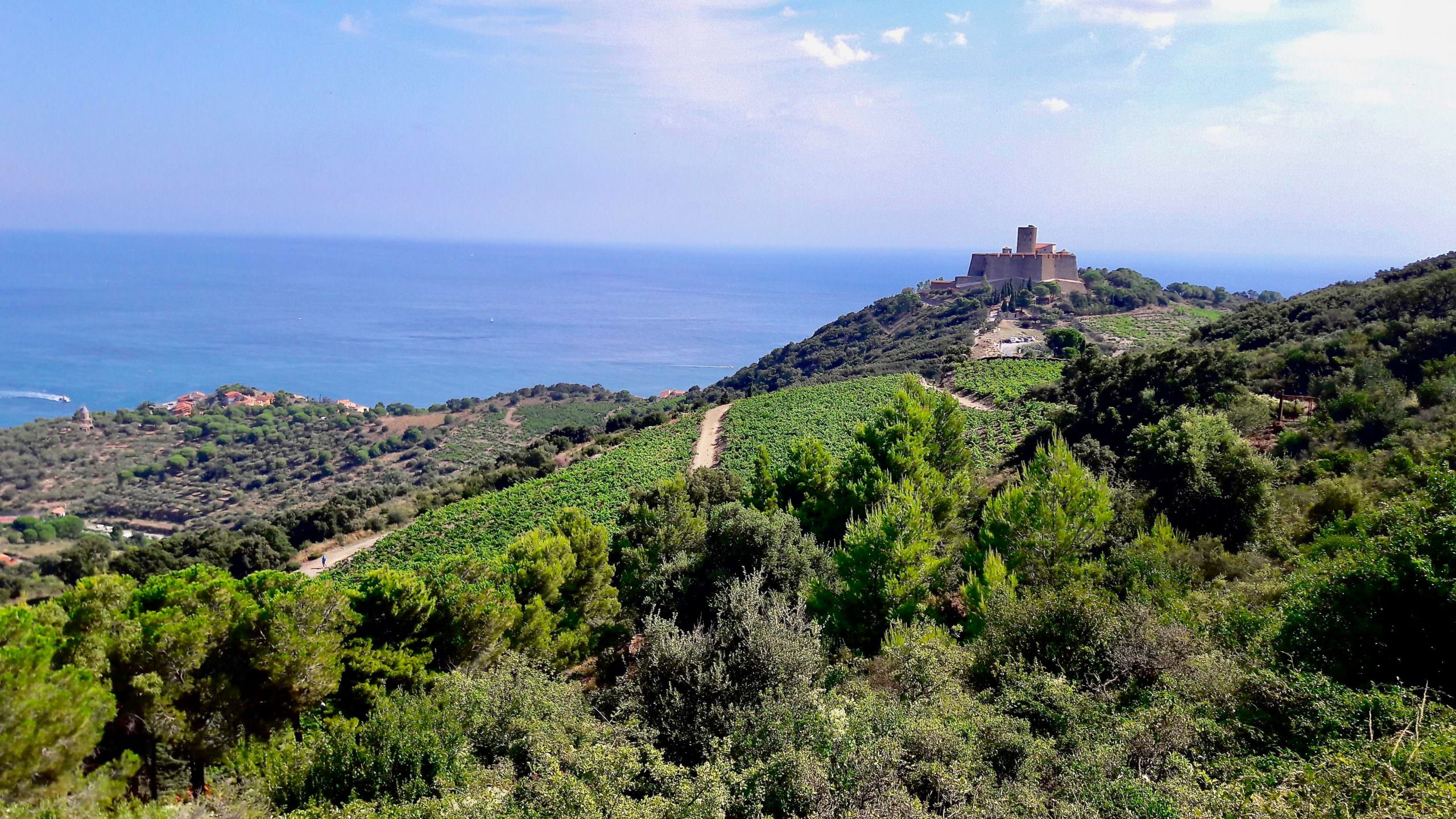 Côte Vermeille - Fort Saint-Elme © CRTL Occitanie