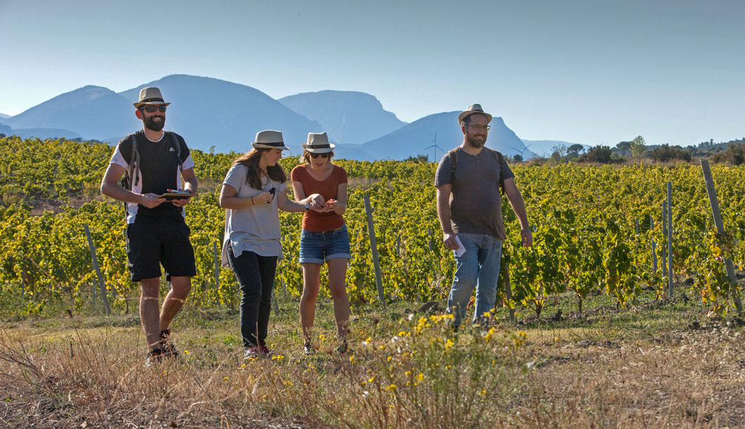 vignobles St paul de Fenouillet © Philippe Benoist - CRTL Occitanie