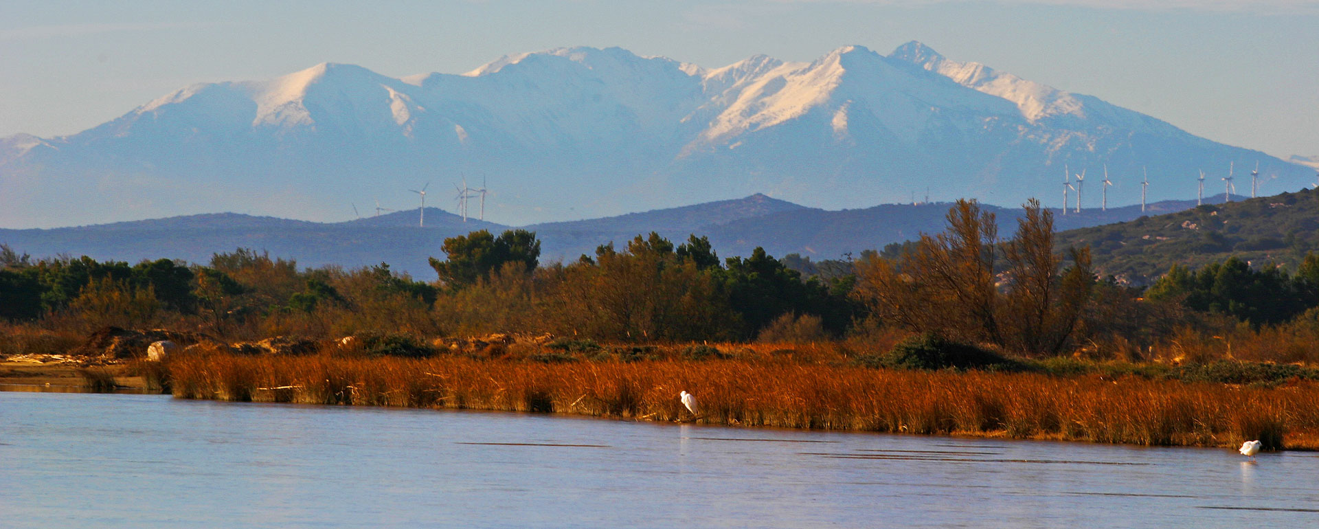 Depuis l'étang de Gruissan, vue sur le Pic du Canigou