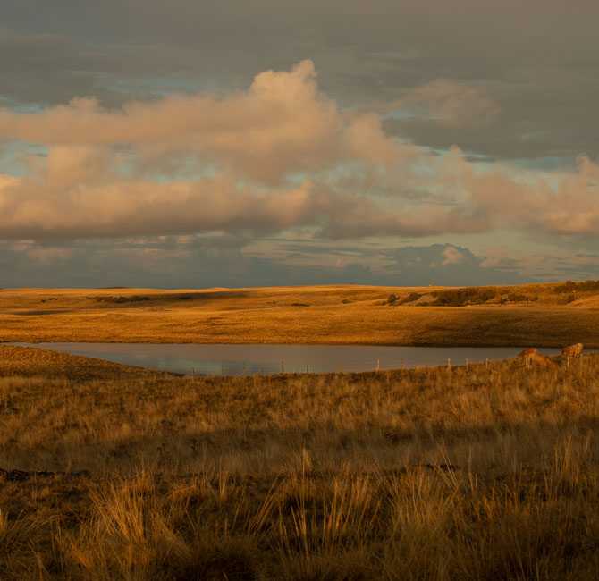 Aubrac-Alentours du Buron de Cap Combattut - Lac de Saint-Andéol
