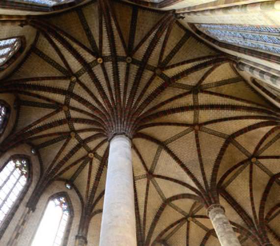 Le palmier des Jacobins