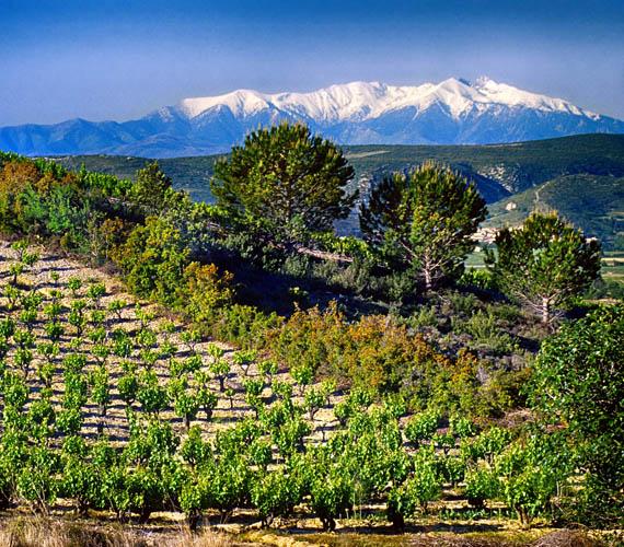 Le Canigó © G. Deschamps / CRTL Occitanie