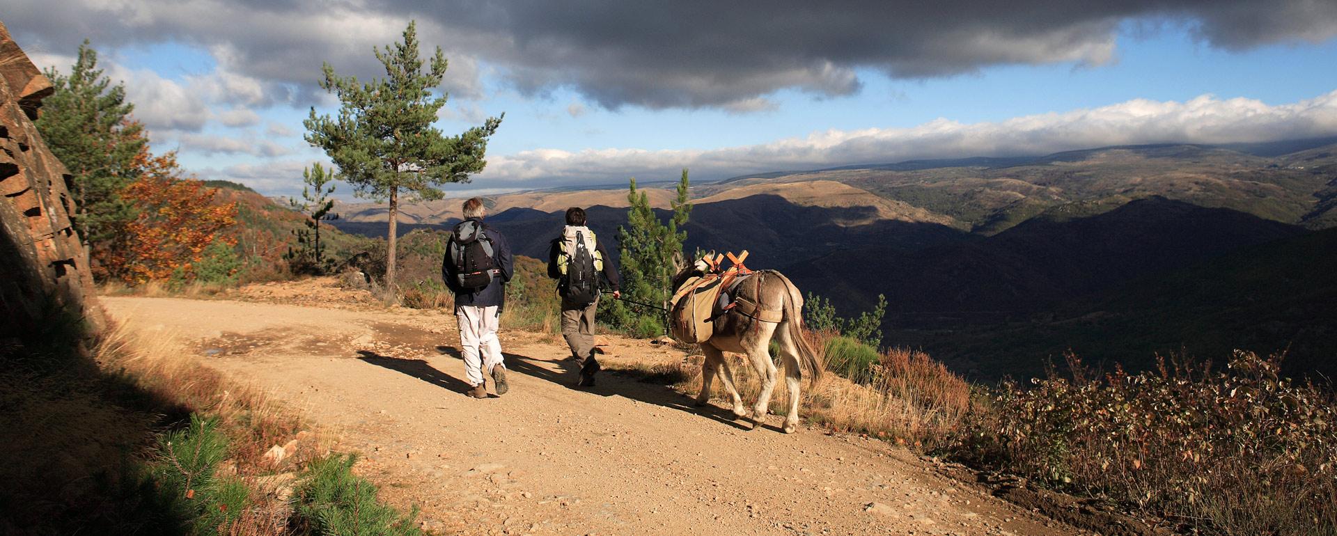 Le chemin de Stevenson