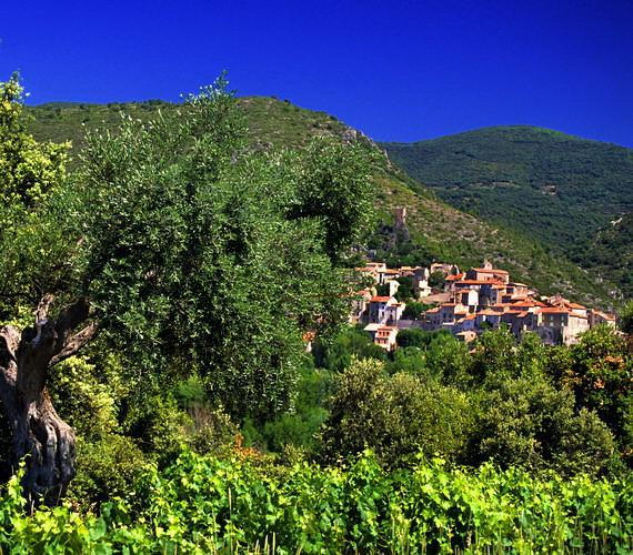 El viñedo de Béziers Le vignoble biterrois © G. Deschamps / CRTL Occitanie