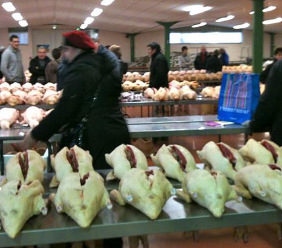 Marché au gras de Samatan