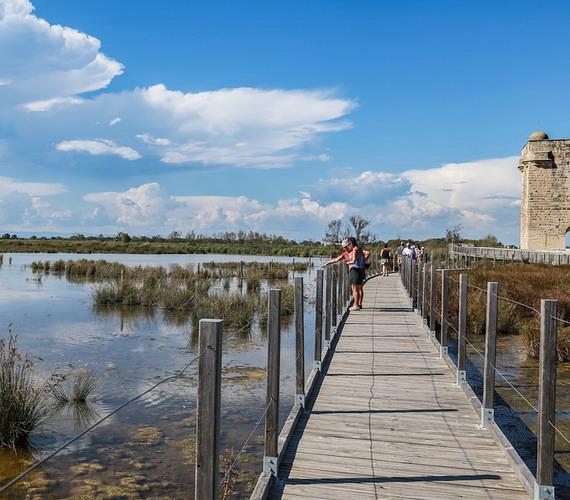 Sentier découverte petite Camargue