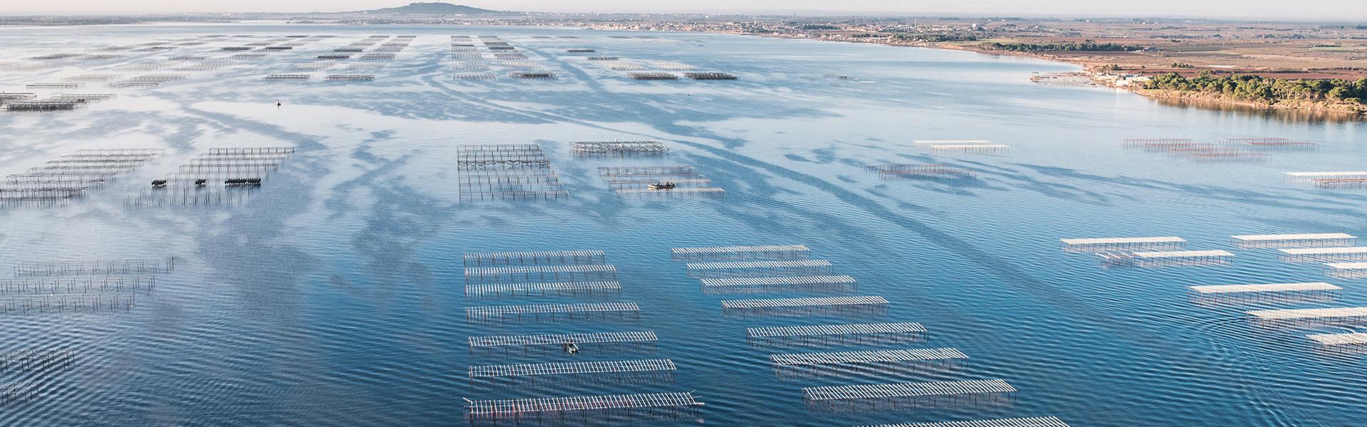 L'étang de Thau et ses parcs à huîtres © F.Tarbouriech / Claude Cruells