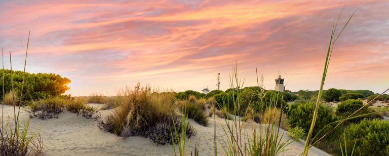 Le Grau du Roi : dunes de l'Espiguette