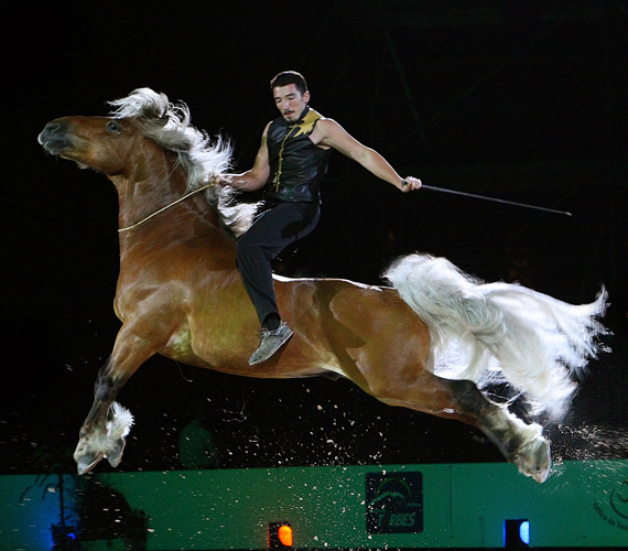 Festival Equestria - Tarbes - Hautes-Pyrénées