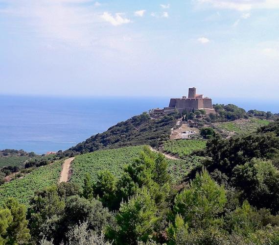 Fort Saint Elme Collioure, CRTL OCCITANIE Fort Saint Elme Collioure