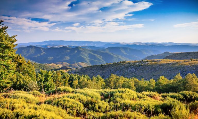 Parc national des Cévennes - Occitanie