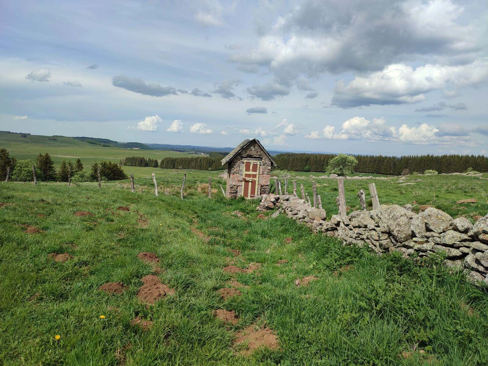 L'Aubrac ©Valérie-Anne / CRTL Occitanie