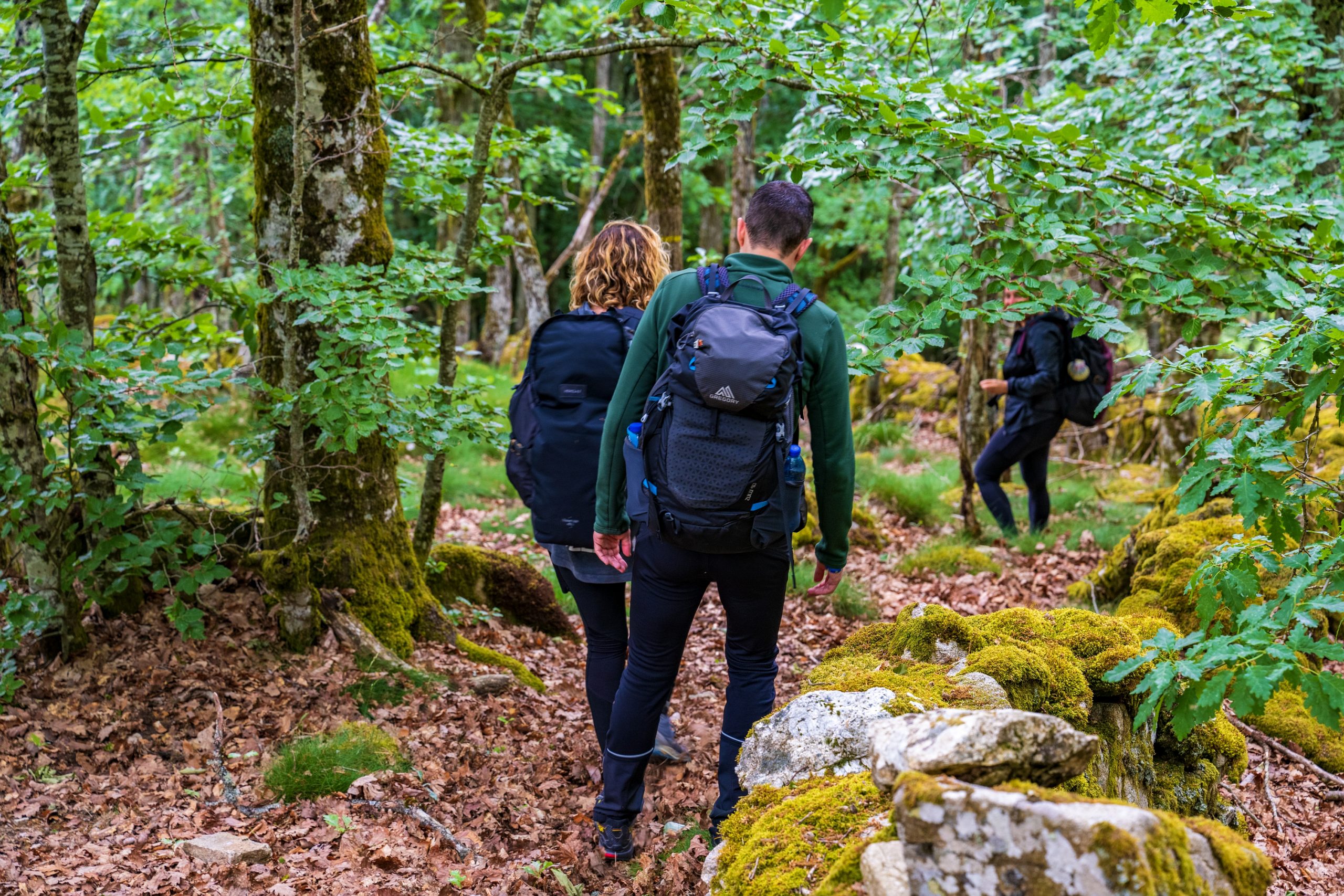 Randonnée chemins de St-Jacques de Compostelle © JJ Gelbart / CRTL Occitanie