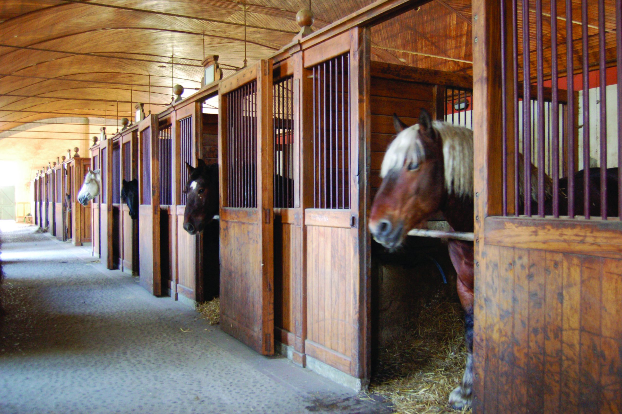 Haras de Tarbes ©HPTE / OT TARBES / MAIRIE DE TARBES