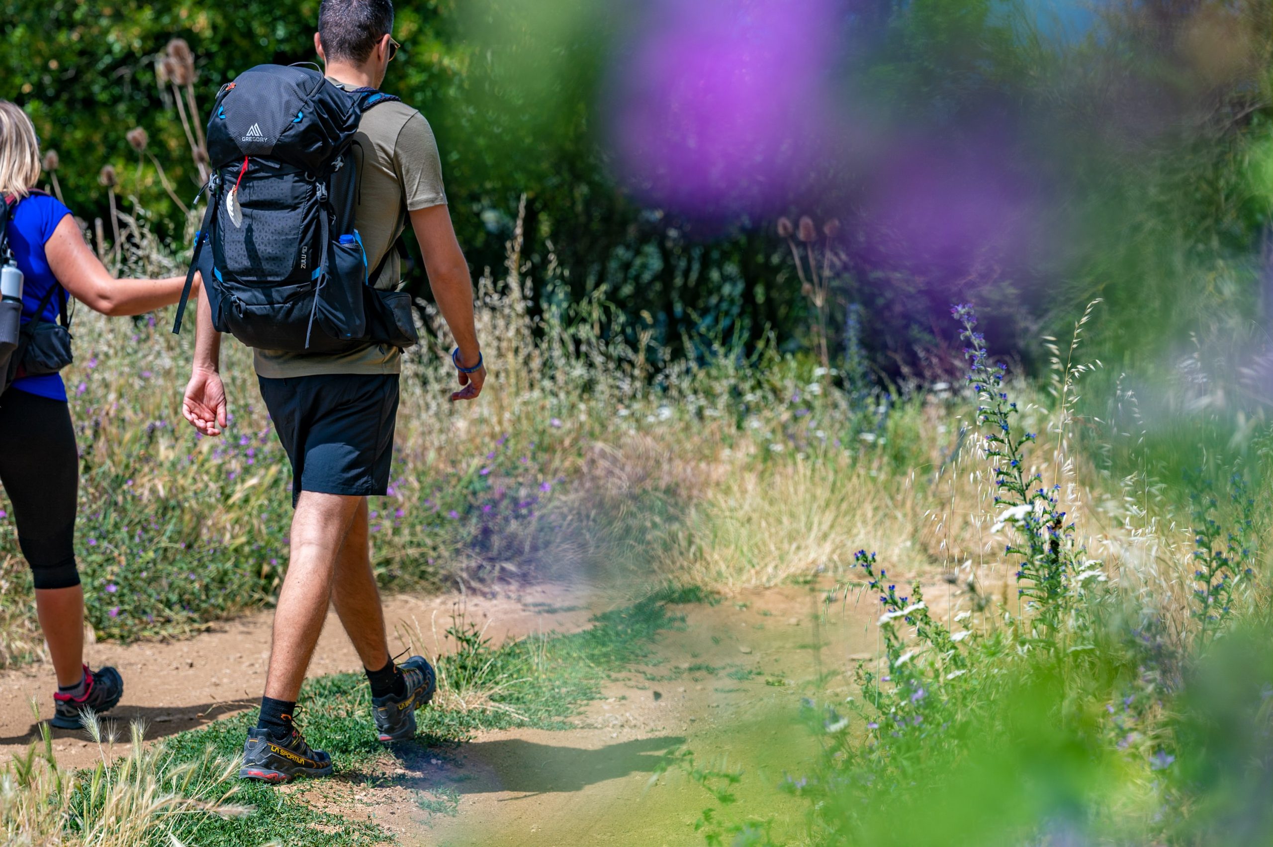 Chemins de St-Jacques de Compostelle © JJ Gelbart / CRTL Occitanie