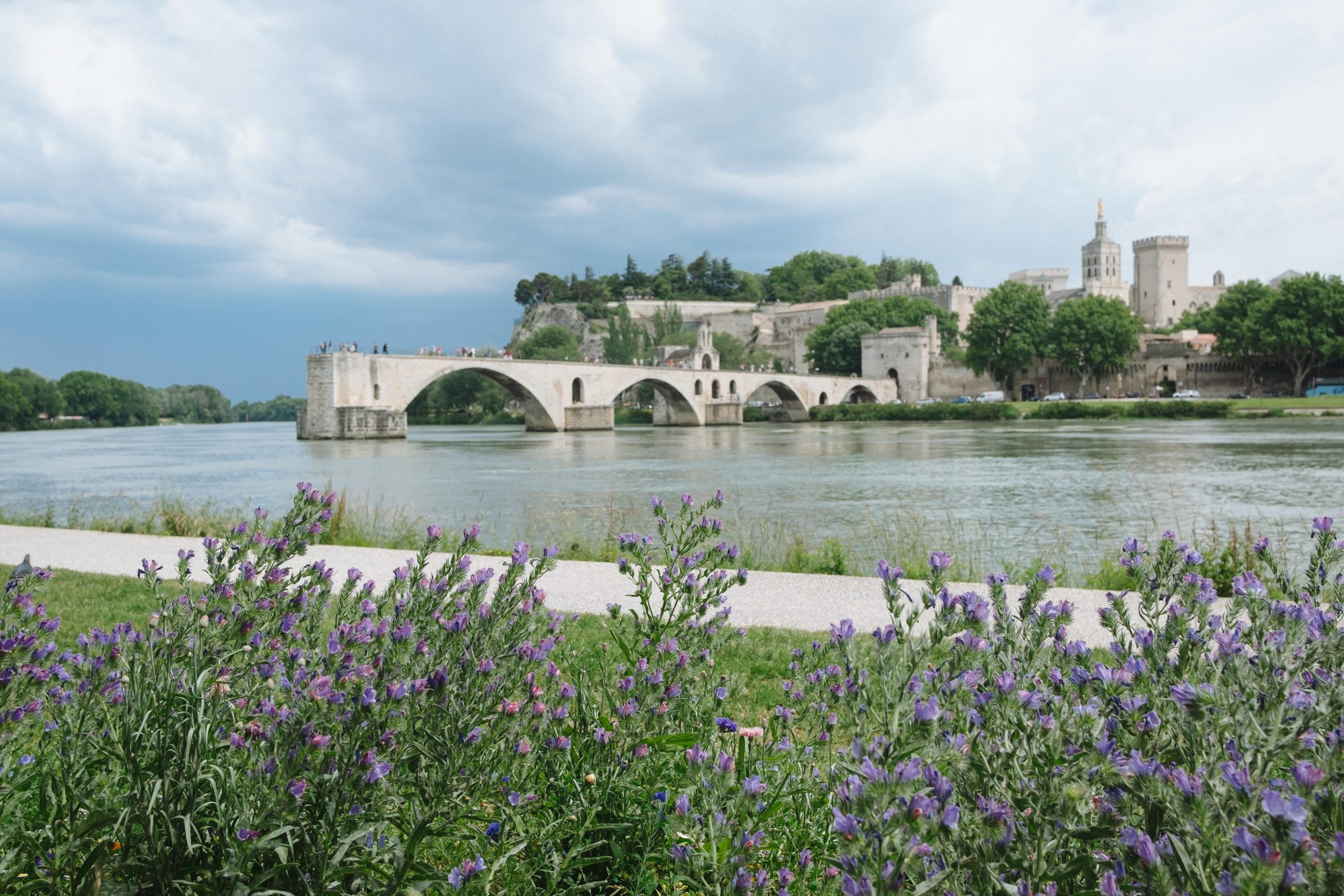 Le pont d'Avignon © Chelsea Essig