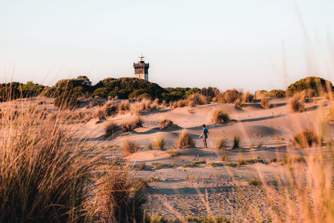 Plage et phare de l'Espiguette. Le Grau du Roi © Teddy Verneuil - Gard Tourisme