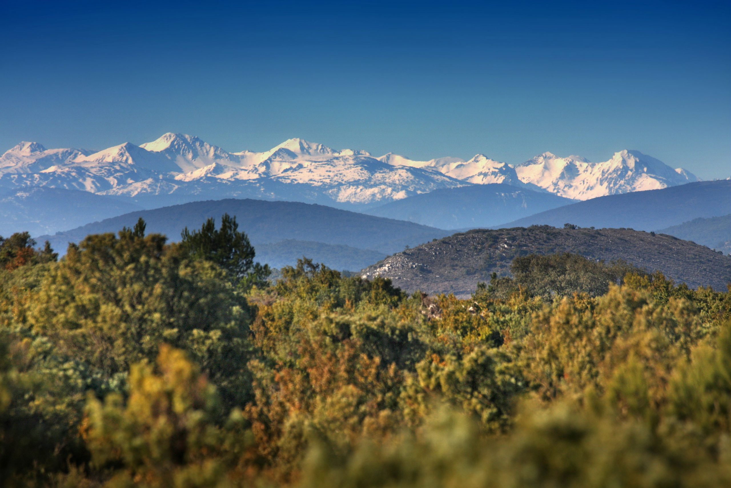 Massif du Canigou - Pyrénées-Orientales © CRTL Occitanie / G.Deschamps