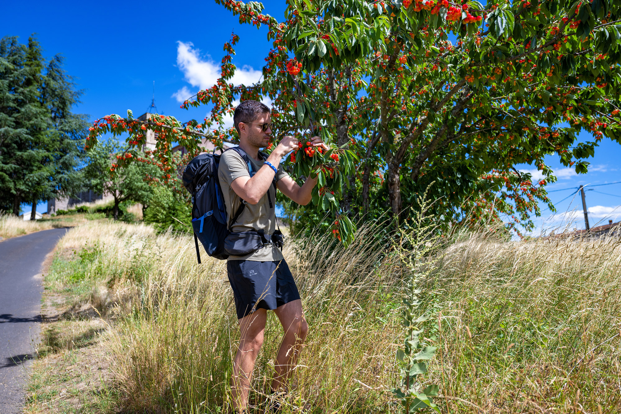 Randonnée sur les chemins de St-Jacques de Compostelle © CRTL Occitanie © JJ Delbart/AFCC