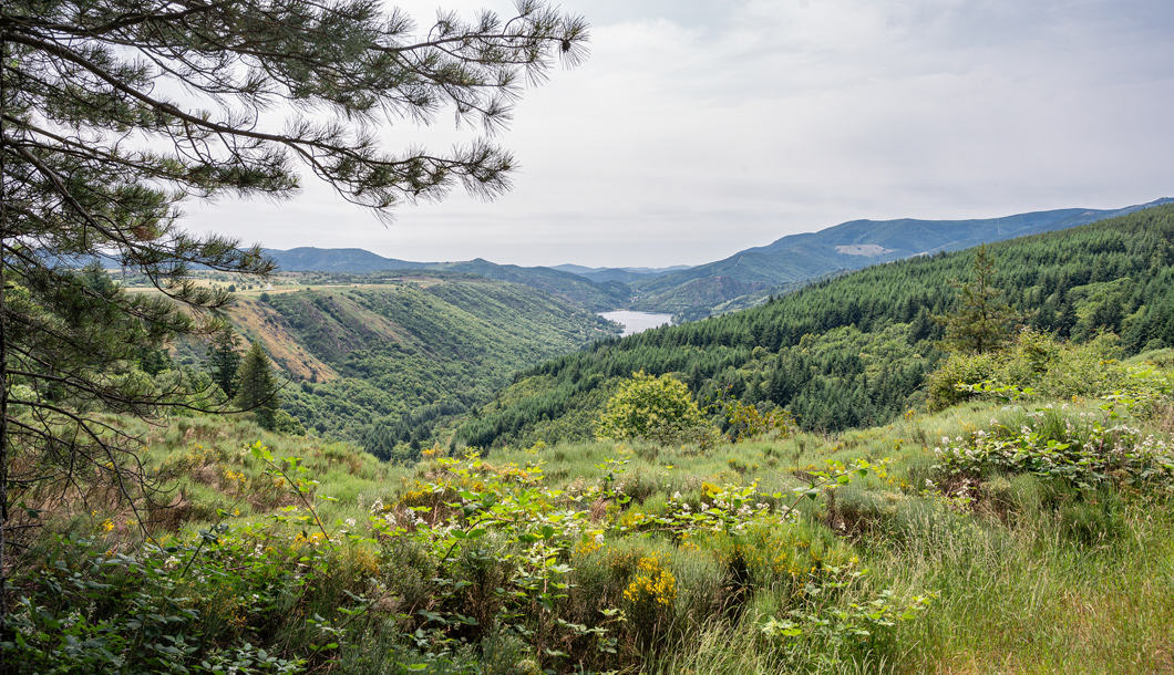 Vue sur le lac de Langogne © Guillaume Payen / CRTL Occitanie