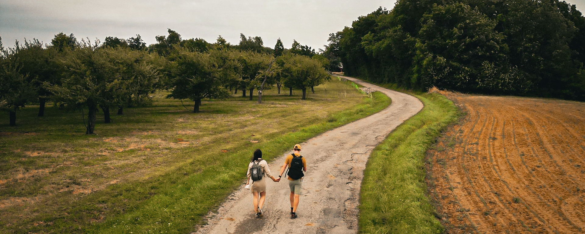Sur les Chemins de Saint Jacques de Compostelle dans le Gers  Sur les Chemins de Saint Jacques de Compostelle dans le Gers
