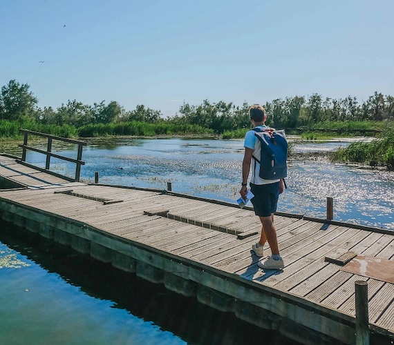 Camargue gardoise, Scamandre © La Bougeotte Française / CRTL Occitanie