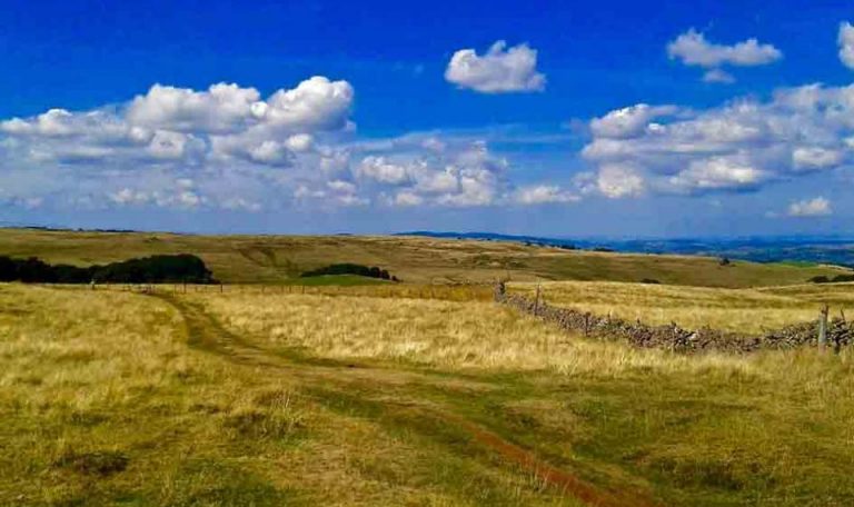 Le chemin du Puy