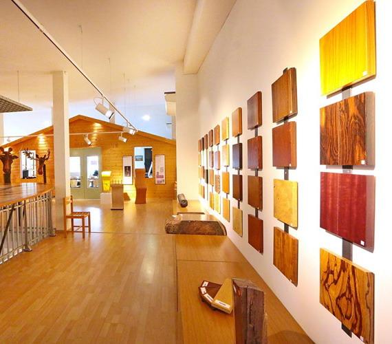 Museum für Holz und Intarsien Musée du Bois et de la Marqueterie