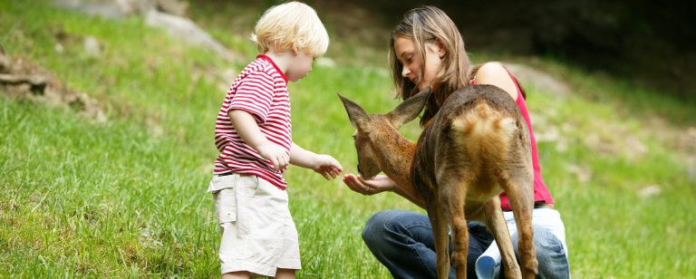 Parc animalier des Pyrénées à Argelès-Gazost