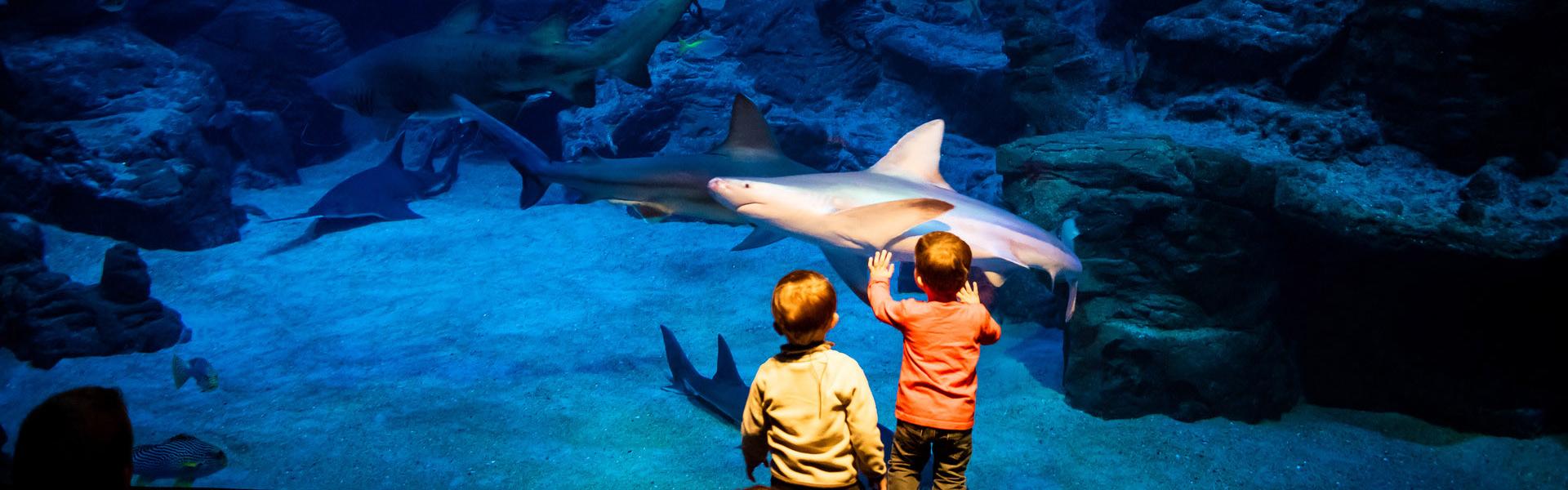 Planet Ocean Montpellier