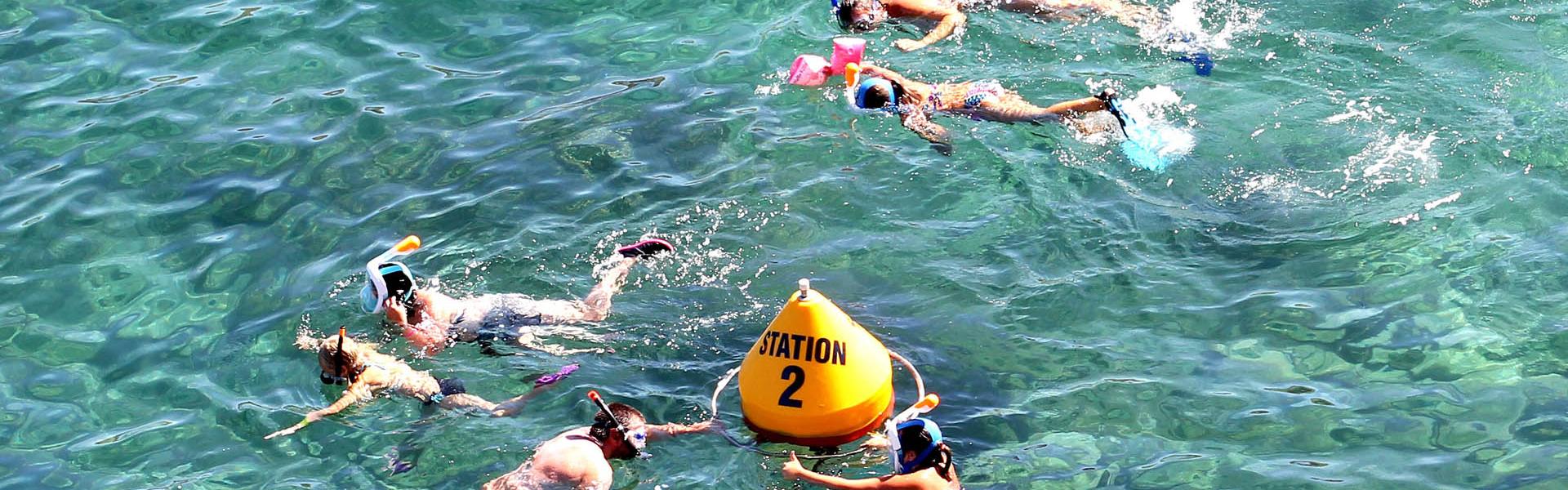 Réserve marine de Cerbère-Banyuls