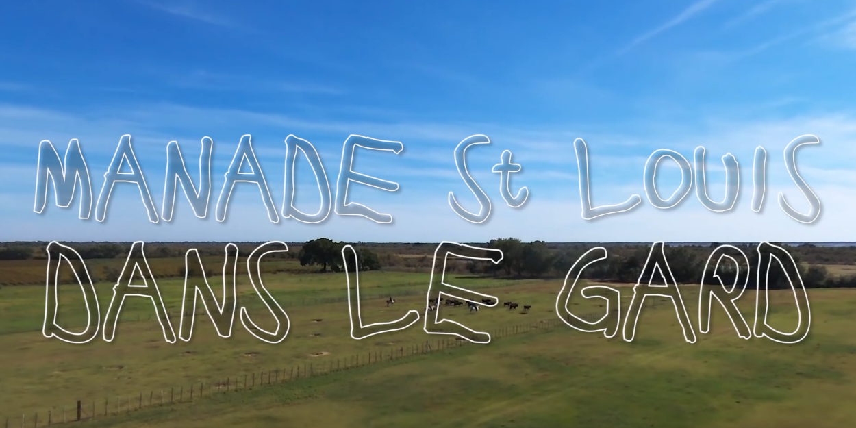 Manade Saint Louis dans le Gard