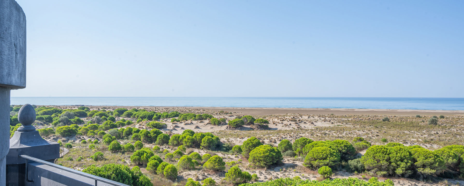 Plage Espiguette Camargue