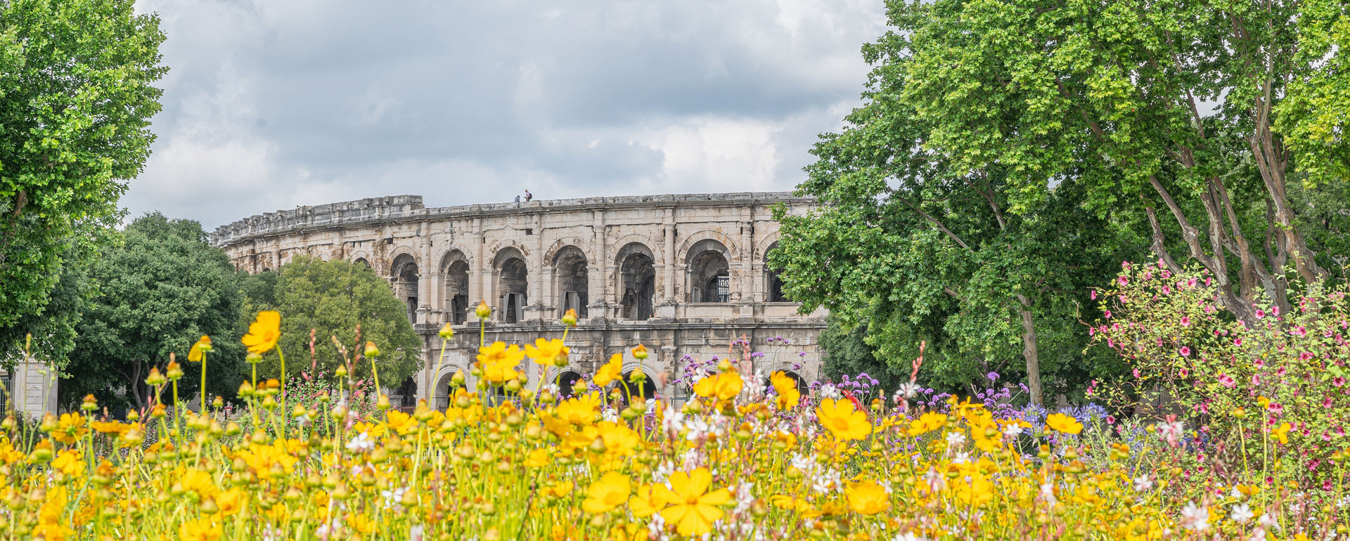 Arènes de Nîmes  Arènes de Nîmes
