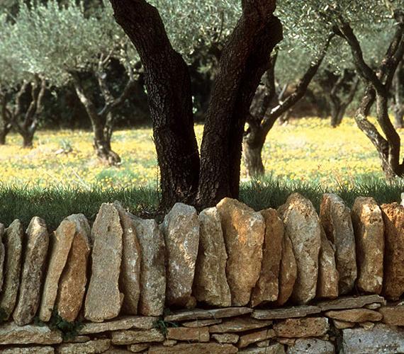 Mémoires de Garrigue