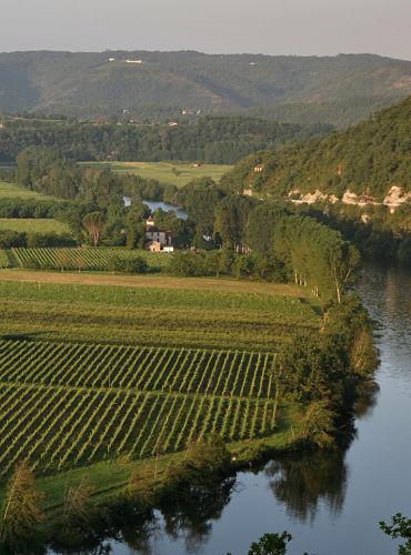 Vignoble Parnac Lot Tourisme