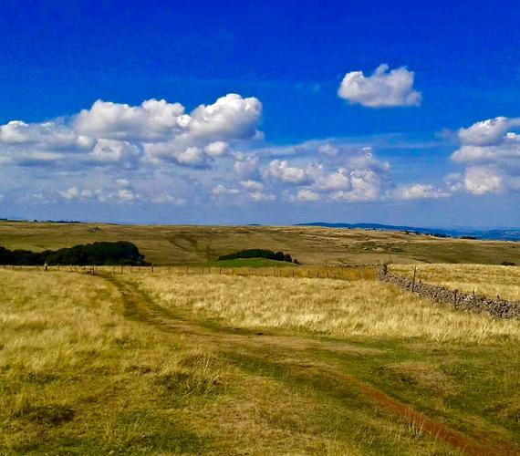 Chemins St-Jacques de Compostelle, voie du Puy, Aubrac, C.Chabanette / CRT Occitanie Voie du Puy, en Aubrac