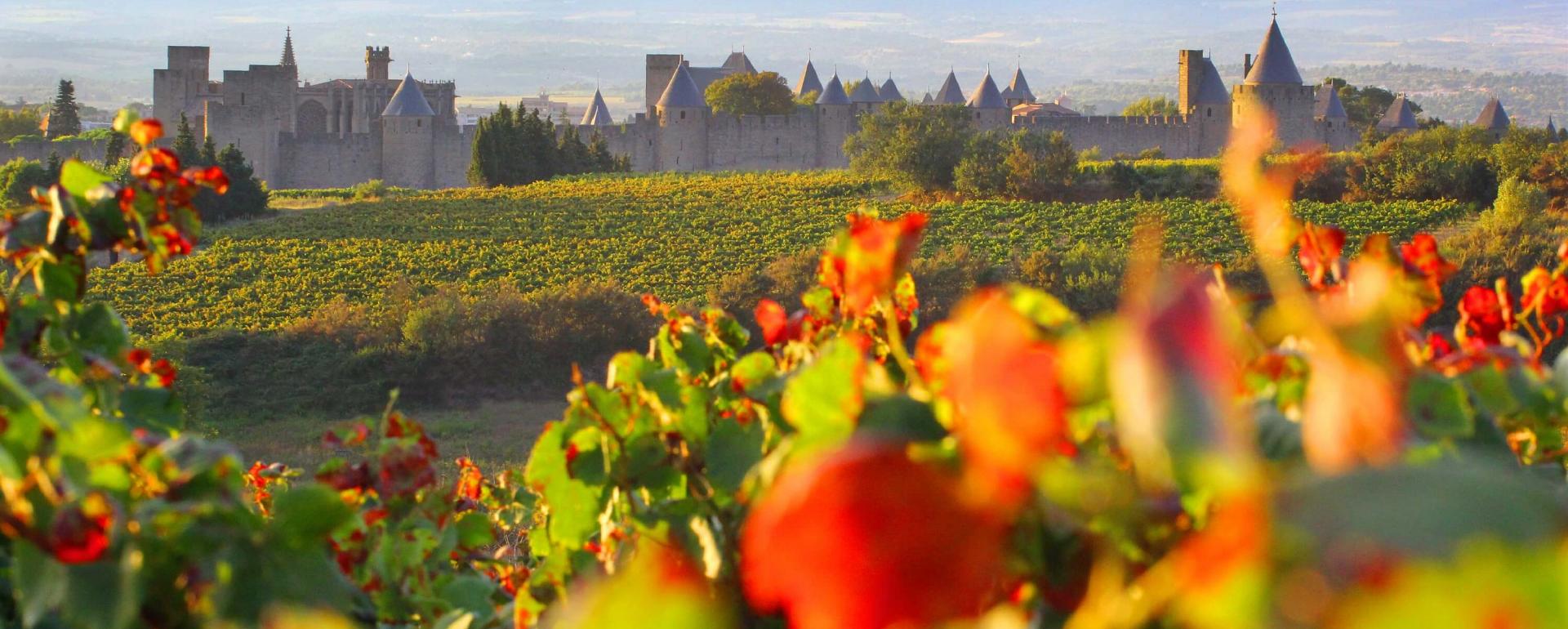 Carcassonne Carcassonne, vignes