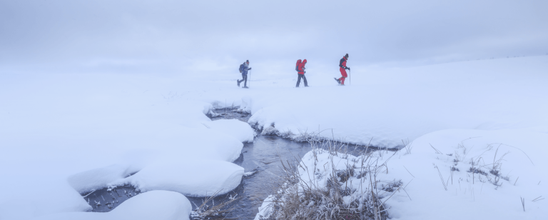 MICROAVENTURE – Raquettes et chalet sur le Mont-Lozère